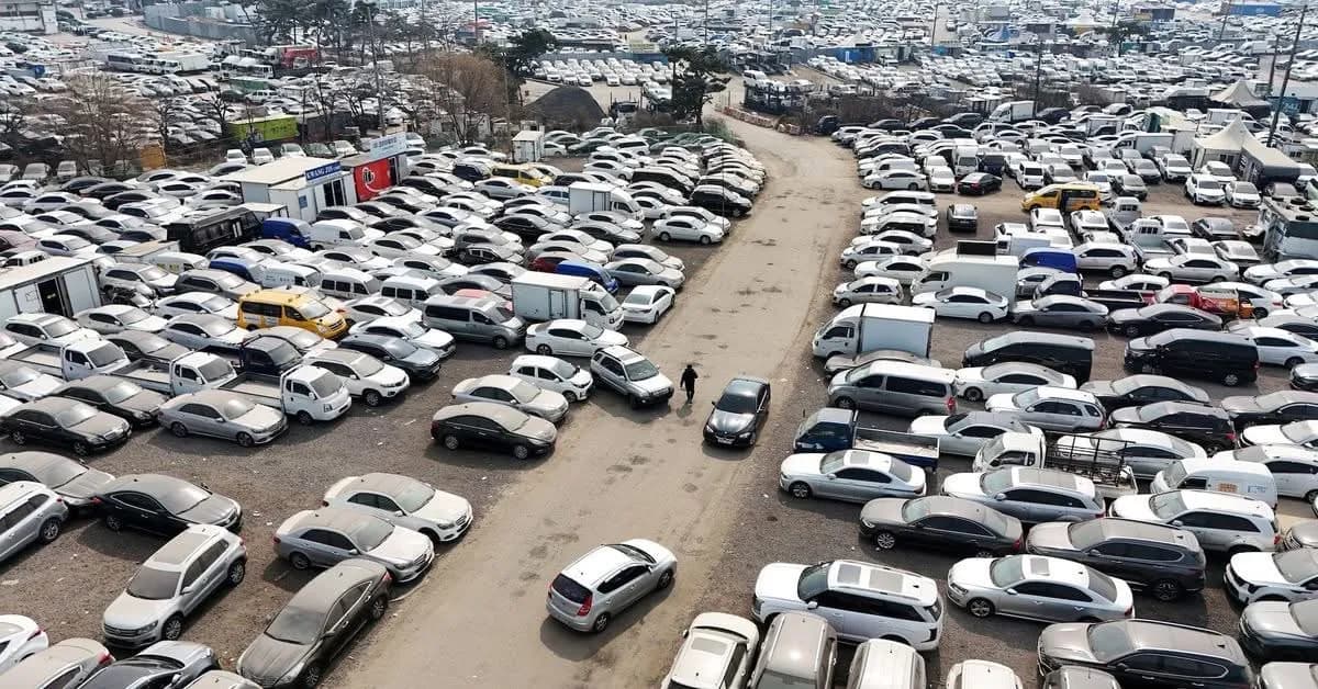 இலங்கையில் முடங்கியுள்ள லம்போகினி கார்கள்